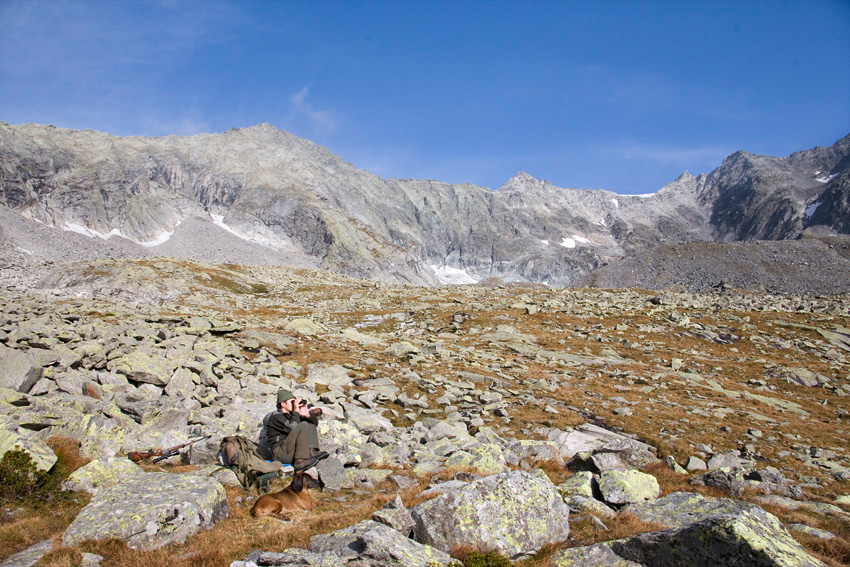 alex fischer, fotograf, darmstadt, ahrntal, s�d tirol, jaeger, revier, berge, fernglas, gewehr, hund