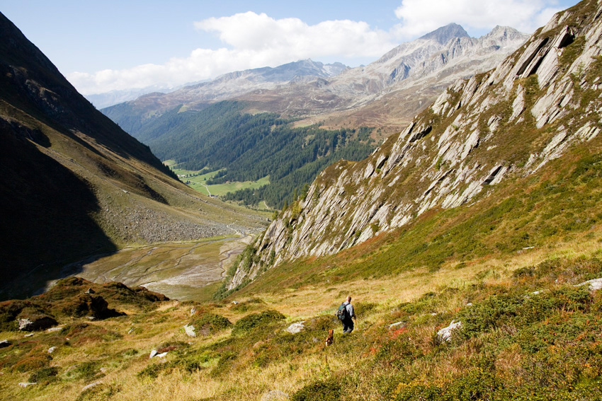 alex fischer, fotograf, darmstadt, ahrntal, s�d tirol, jaeger, revier, berge, fernglas, gewehr, hund