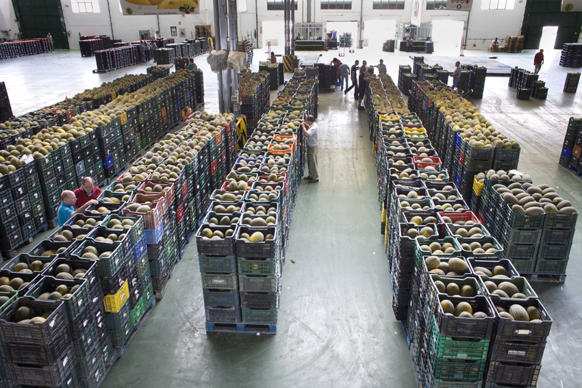 alex fischer, fotograf, darmstadt, el ejido, mar del plastico