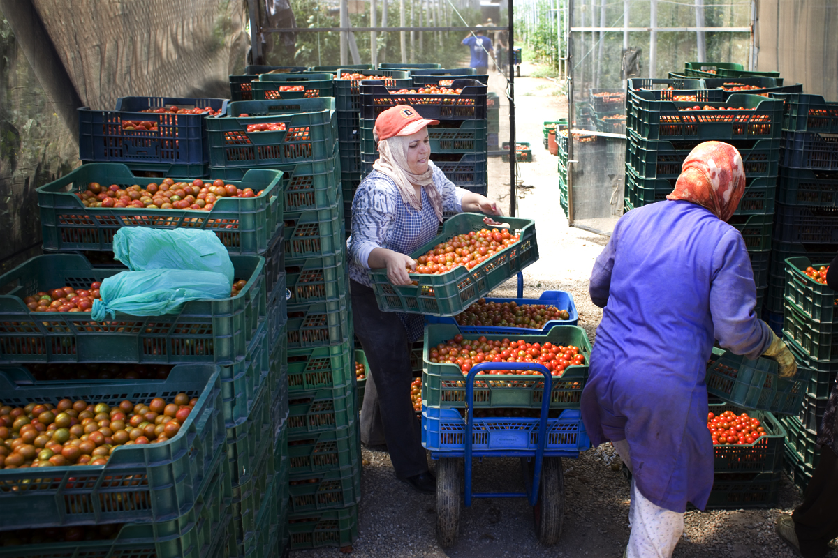 alex-fischer-fotograf-reportage-portrait-business-event-darmstadt-frankfurt-mannheim-heidelberg