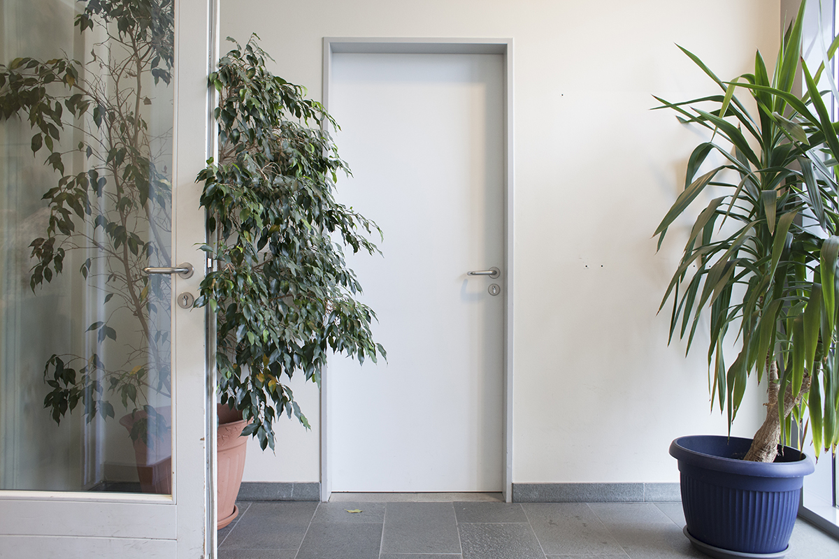 alex fischer, fotograf, darmstadt, norderney, verwaltung, b�rgermeister, b�rokratie