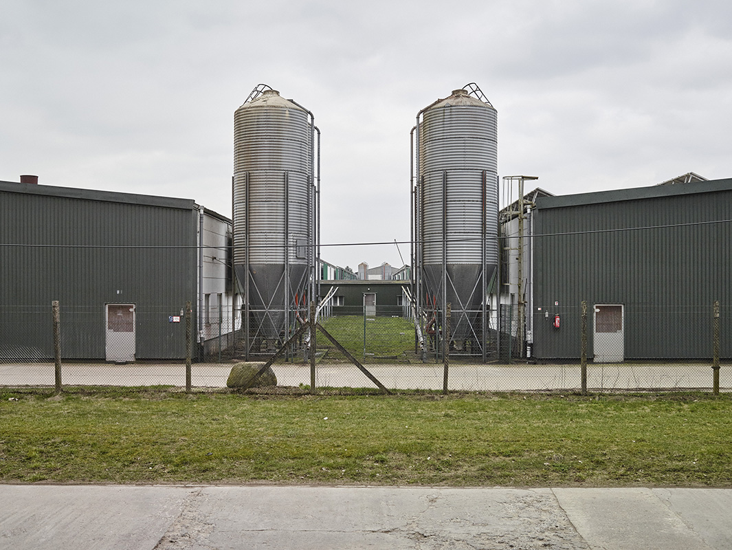 alex fischer, fotograf, darmstadt, ostsee, menschen, tiere, tote zone, g�lle, industrielle landwirtschaft