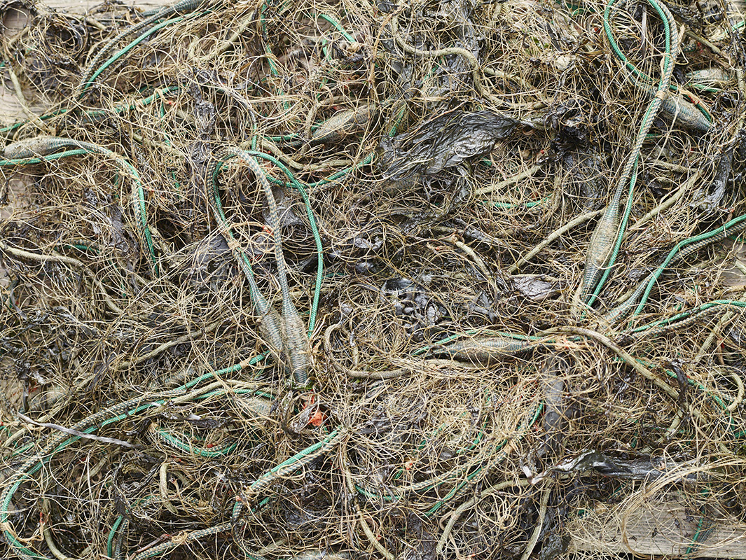 alex fischer, fotograf, darmstadt, ostsee, menschen, tiere, tote zone, g�lle, industrielle landwirtschaft