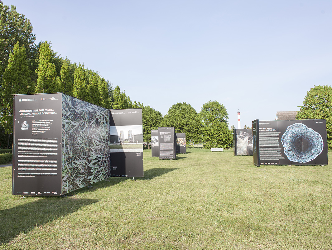 alex fischer, fotograf, darmstadt, ostsee, menschen, tiere, tote zone, g�lle, industrielle landwirtschaft