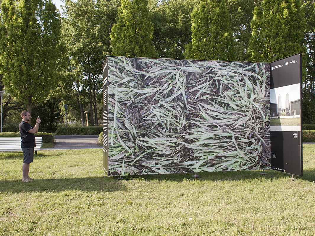 alex fischer, fotograf, darmstadt, ostsee, menschen, tiere, tote zone, g�lle, industrielle landwirtschaft